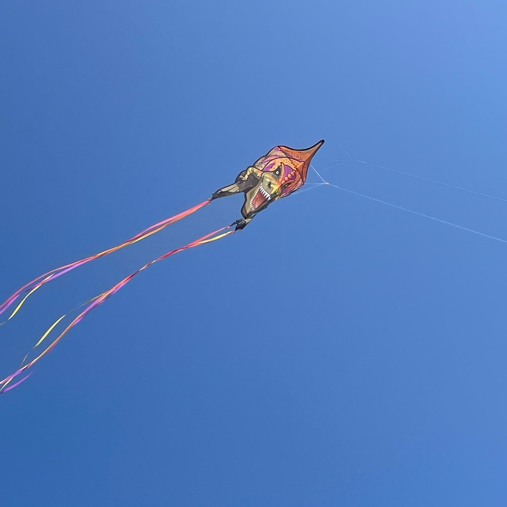 Meet your Posher, Alissa